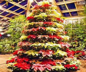 Puzle Árvore de Natal feita de poinsétias