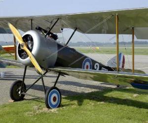 Puzle Avião antigo