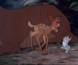 Puzle Bambi em pé pela primeira vez com seu amigo Tambor