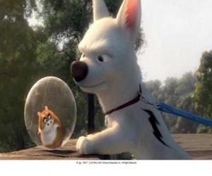 Puzle Bolt com Rhino