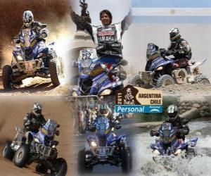 Puzle Campeão Quads Alejandro Patronelli Dakar 2011