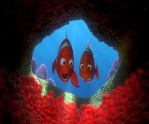 Puzle Coral e Marlin animado assistir seus futuros filhos e de pensar de seus nomes