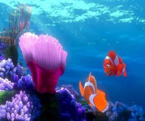 Puzle Coral e Marlin com a sua nova casa com vista para o mar