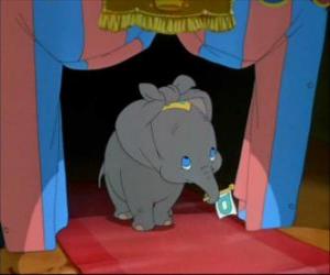 Puzle Dumbo no espetáculo do circo