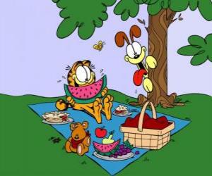 Puzle Garfield comer no campo com o seu amigo Pookie, enquanto o espião Odie