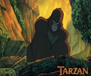 Puzle Kerchak, o macho dominante