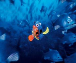 Puzle Marlin e Dory muito assustado por um bando de peixe