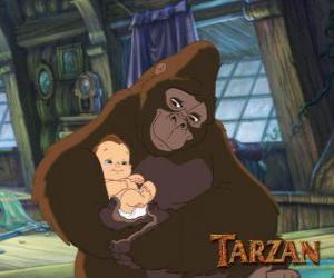 Puzle O bebê Tarzan nos braços de sua mãe adotiva, Kala a gorila