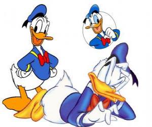 Puzle Pato Donald com a camisa e gorro de marinheiro e um laço