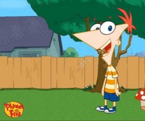 Puzle Phineas Flynn, um rapaz de 11 anos muito inteligente e meio-irmão de Ferb