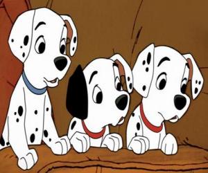 Puzle Três cachorros dalmatas