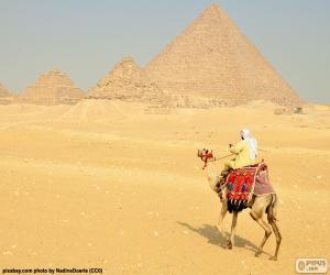 Puzle Um camelo na frente das pirâmides, monumentos funerários do Antigo Egipto