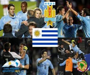 Puzle Uruguai finalista, Copa América, Argentina 2011
