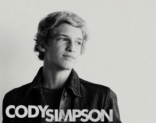 Cody Simpson puzzle