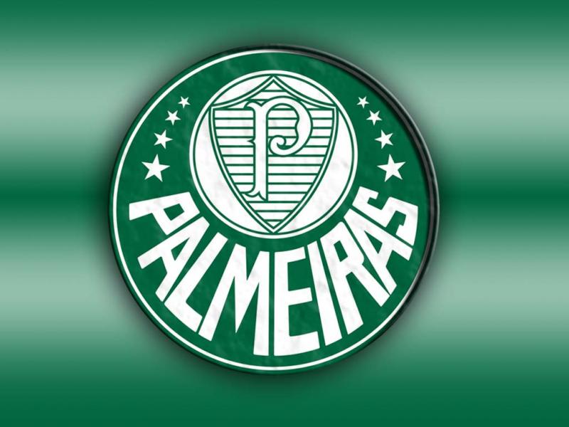 palmeiras puzzle puzzle