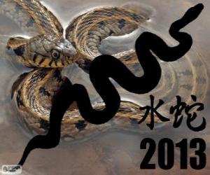 Puzle 2013, ano da Cobra de Água. De acordo com o calendário chinês, desde o 10 de fevereiro de 2013 para o 30 de janeiro de 2014