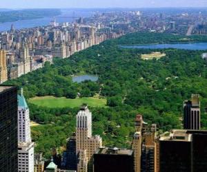 Quebra Cabeca De Vista Aerea Do Central Park Nova Iorque Para Imprimir