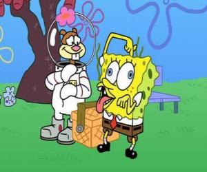 Puzle Bob Esponja com Sandy