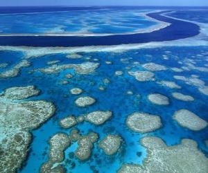 Puzle A Grande Barreira de Corais, recifes de coral em todo o mundo maior. Austrália.