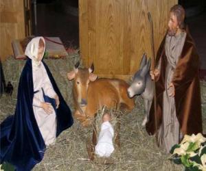 Puzle A Sagrada Família - San José, a Virgem Maria eo menino Jesus na manjedoura com o boi e do burro