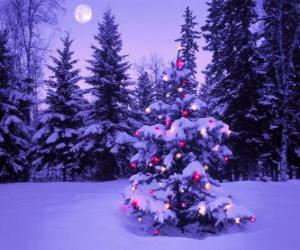 Puzle Abetos do Natal em uma paisagem nevada com a lua no céu