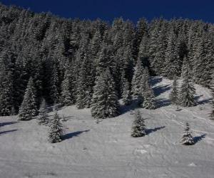 Puzle Abetos do Natal em uma paisagem de neve