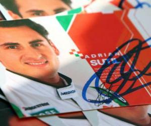Puzle Adrian Sutil - Force India - Grande Prêmio da Hungria 2010