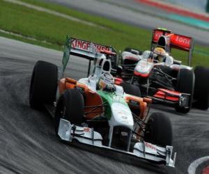 Puzle Adrian Sutil, Sepang 2010