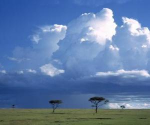 Puzle Africano savana