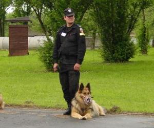 Puzle Agente da polícia com o seu cão policial