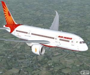 Puzle Air India é a principal companhia aérea da Índia