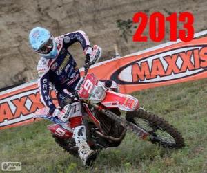 Puzle Alex Salvini campeão do mundo de enduro 2013