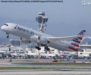 Puzle American Airlines