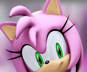 Puzle Amy Rose é um ouriço rosa com olhos verdes, é loucamente apaixonada por Sonic