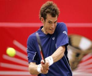 Puzle Andy Murray pronto para um golpe