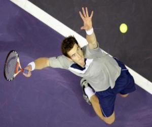 Puzle Andy Murray que  prepara-se para bater um saque