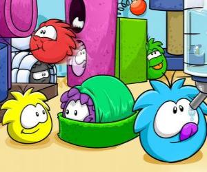 Puzle Animais de estimação no Club Penguin Puffles