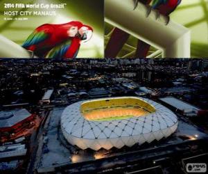 Puzle Arena Amazônia (50.000), Manaus