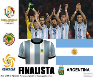 Puzle ARG finalista Copa América 2016