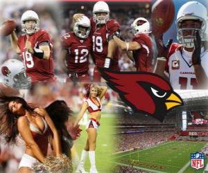 Puzle Arizona Cardinals