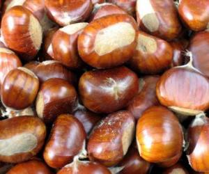 Puzle As castanhas o fruto capsular epinescente do castanheiro-da-europa