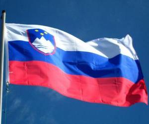 Puzle Bandeira da Eslovénia