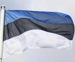 Puzle Bandeira da Estónia