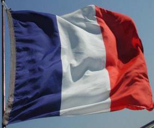 Puzle Bandeira da França