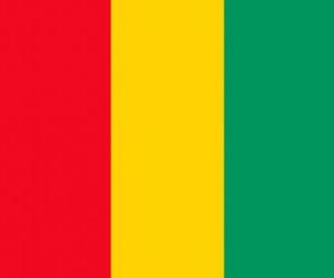 Puzle Bandeira da Guiné