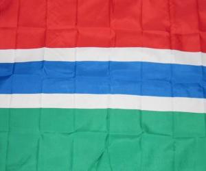 Puzle Bandeira da Gâmbia