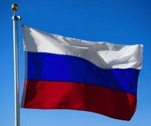 Puzle Bandeira da Rússia