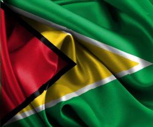 Puzle Bandeira de Guiana