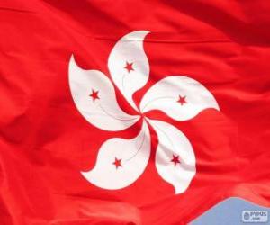 Puzle Bandeira de Hong Kong