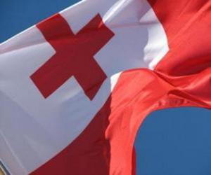 Puzle Bandeira de Tonga